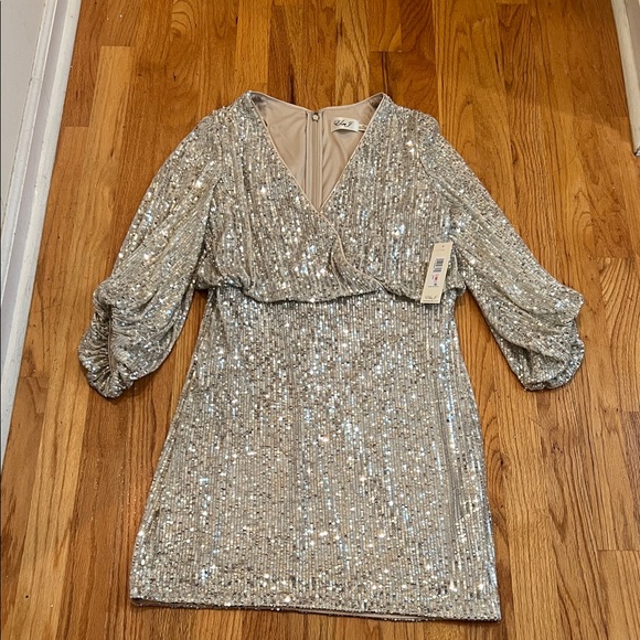 Elijah J Sequin Blouson Sleeve Dress - Picture 9 of 14